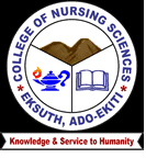 EKITI-SON Ekiti School of Nursing Form